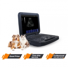 MY-A009A-B Protable Laptop Ultraschall für Krankenhaus Ultraschall Scanning Maschine