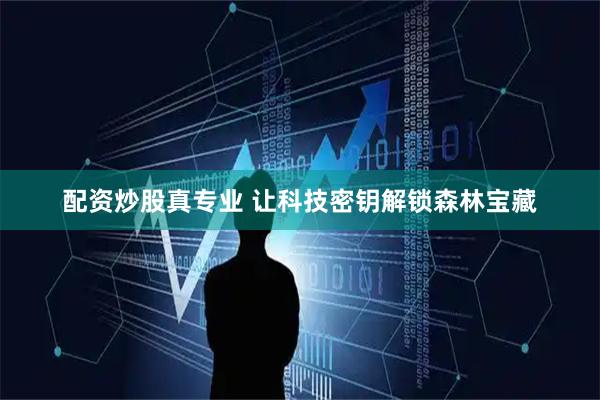 配资炒股真专业 让科技密钥解锁森林宝藏