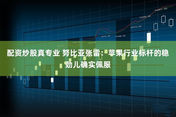 配资炒股真专业 努比亚张雷：苹果行业标杆的稳劲儿确实佩服