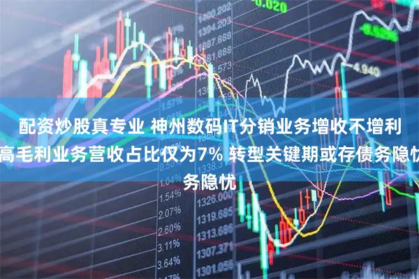 配资炒股真专业 神州数码IT分销业务增收不增利 高毛利业务营收占比仅为7% 转型关键期或存债务隐忧